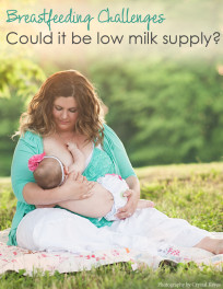 Milk-Supply