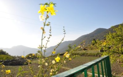 A Special Birthday: My First Solo Travel – Uttrakhand