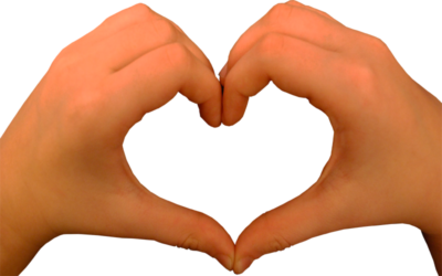 I Carry Your Heart