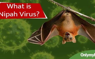 NIPAH VIRUS INFECTION