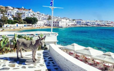 Travel Diaries 2: Beautiful Moments