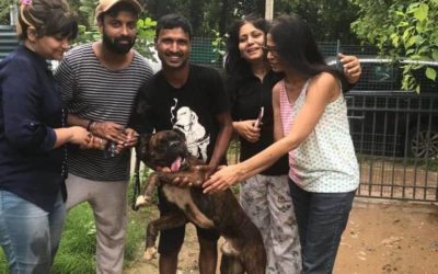 How GurgaonMoms Helped ‘Banjo’ Reunite with his Family