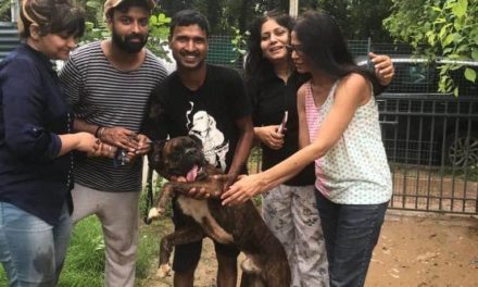 How GurgaonMoms Helped ‘Banjo’ Reunite with his Family