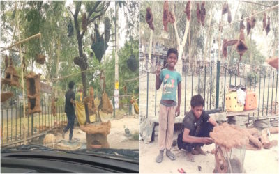 Bird Houses for Sale in Gurgaon by Young Boys with Big Dreams