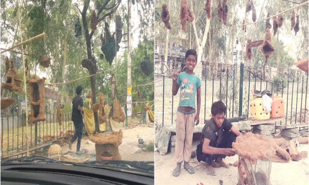 Bird Houses for Sale in Gurgaon by Young Boys with Big Dreams