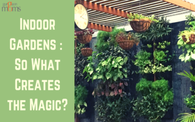 Indoor Gardens : So What Creates the Magic?