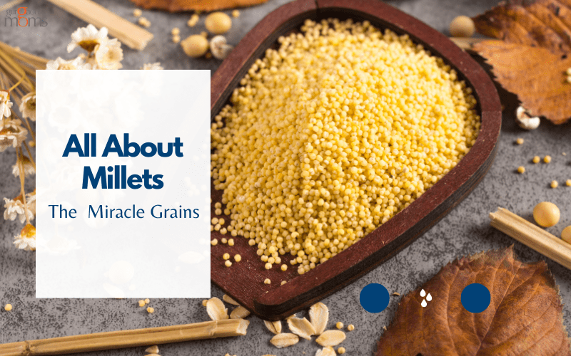 All About Millets : The  Miracle Grains
