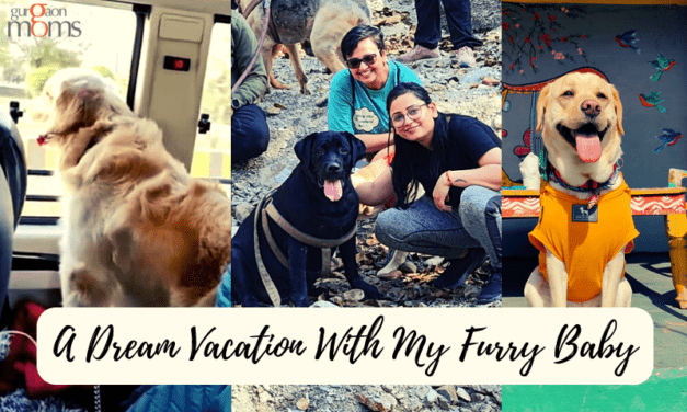 A Dream Vacation With My Furry Baby