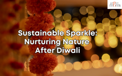 Sustainable Sparkle: Nurturing Nature After Diwali